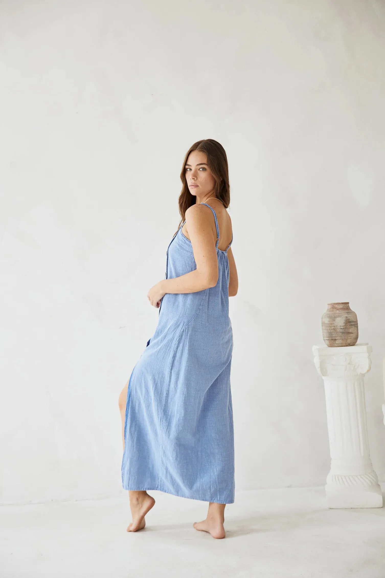 Malia Dress in Denim